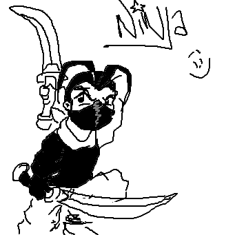 Ninja