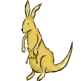 Kangaroo